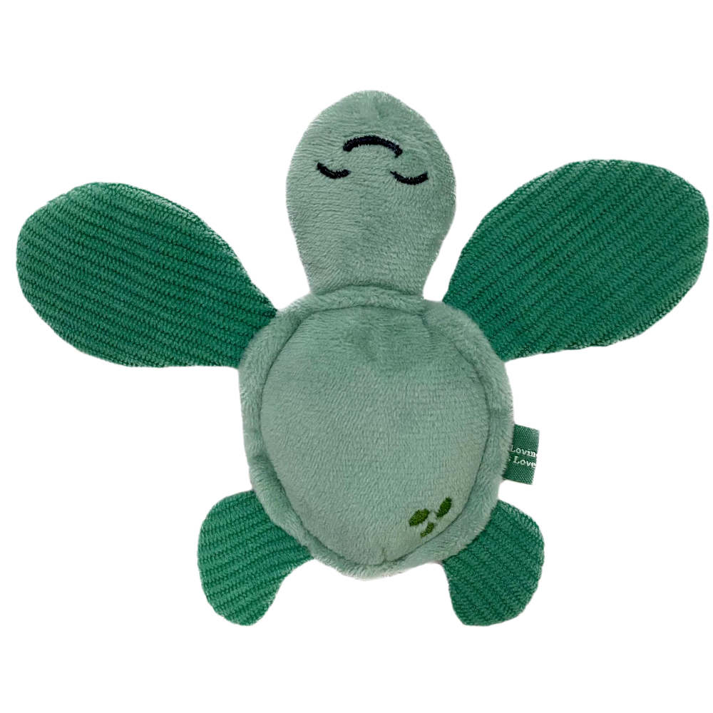 Turtle - XS