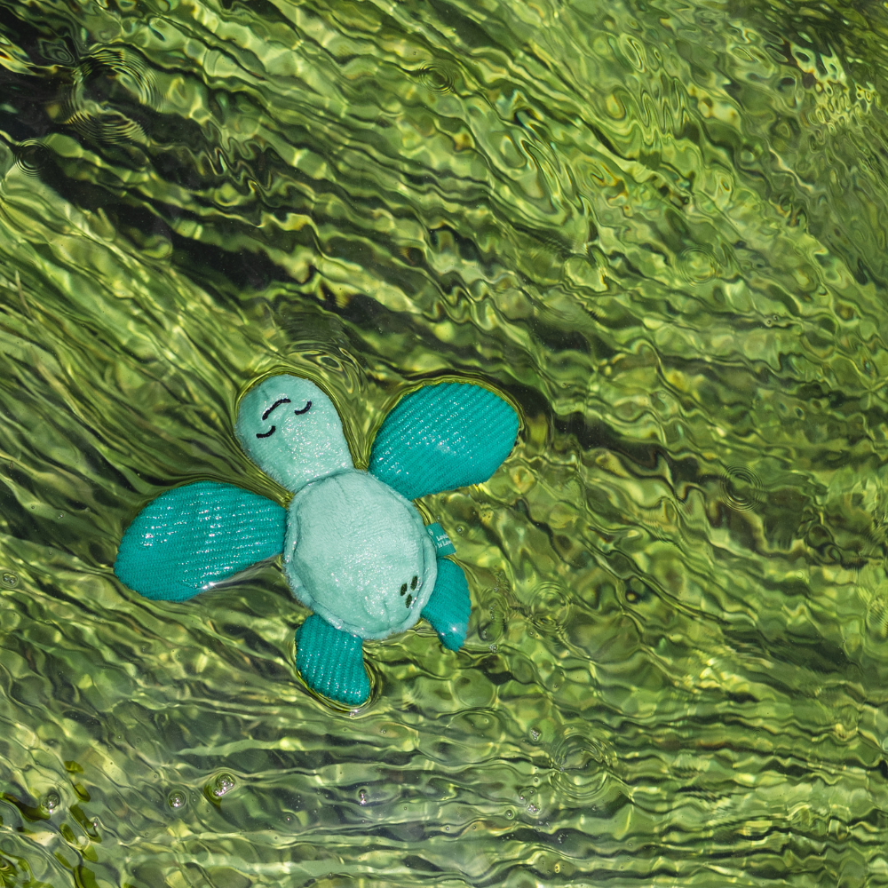 Turtle - XS